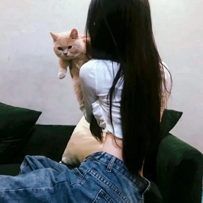 高杆